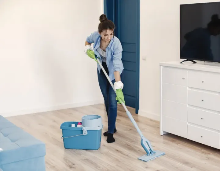 Femme de ménage Cuissai